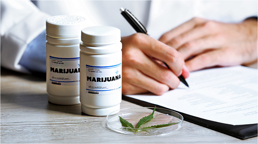 Calabasas Medical Marijuana Lawyer