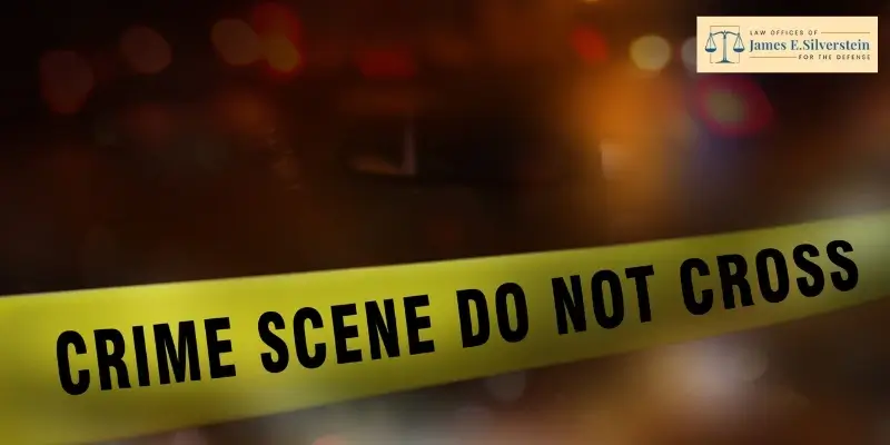 best calabasas gang crimes lawyer
