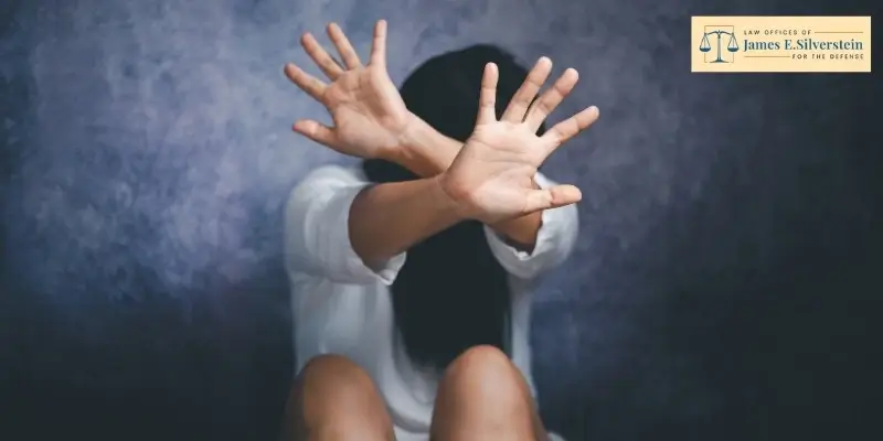 best westlake village domestic violence lawyer