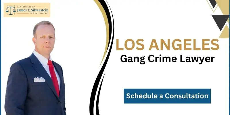 El mejor abogado especializado en delitos de bandas de Los Ángeles