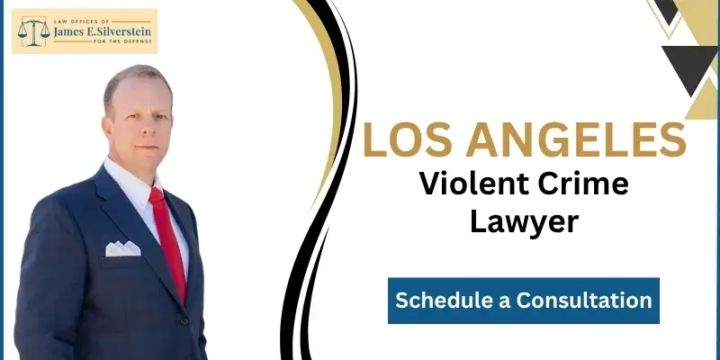 best los angeles violent crime lawyer