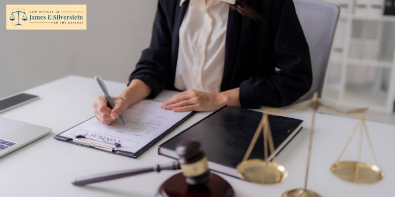 federal white collar criminal defense executives